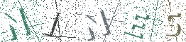 Type the Shadowed Word
