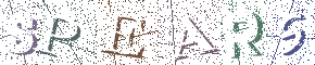 Type the Shadowed Word